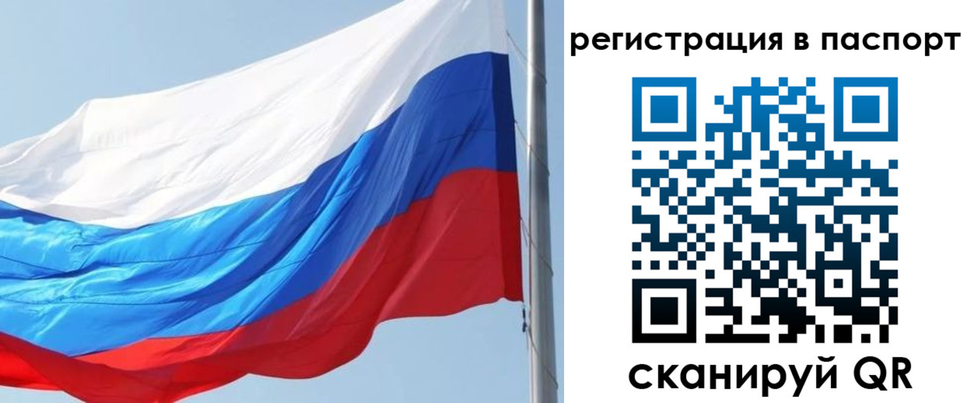 прописка законно в Берёзовском